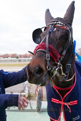 20161226_r04_105.jpg