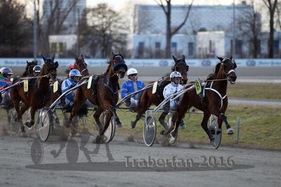 20161226_r05_050.jpg