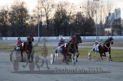 20161226_r05_075.jpg