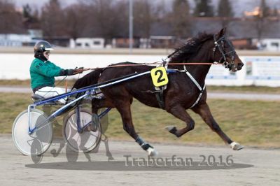 20161226_r06_026.jpg