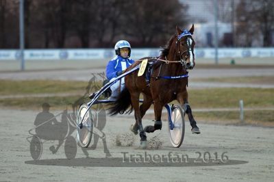 20161226_r06_031.jpg