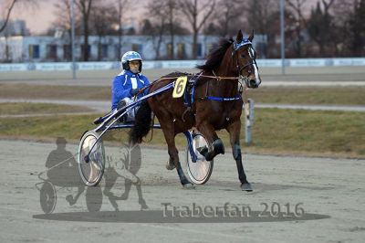 20161226_r06_032.jpg