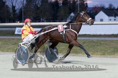 20161226_r07_024.jpg