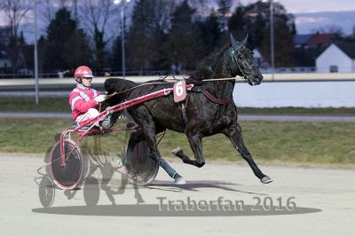 20161226_r07_038.jpg