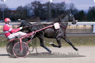 20161226_r07_045.jpg