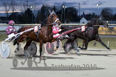 20161226_r07_050.jpg