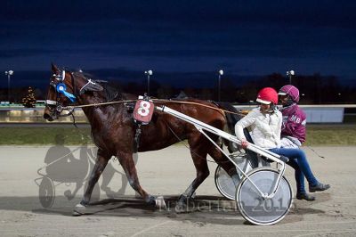 20161226_r07_104.jpg