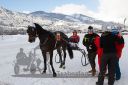 Dateiname=20170107_r01_081.jpg
Dateigröße=112KB
Abmessungen: 750x500
hinzugefügt am: 07. Januar 2017 20170107_r01_081.jpg