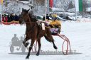 Dateiname=20170107_r02_031.jpg
Dateigröße=115KB
Abmessungen: 750x500
hinzugefügt am: 07. Januar 2017 20170107_r02_031.jpg