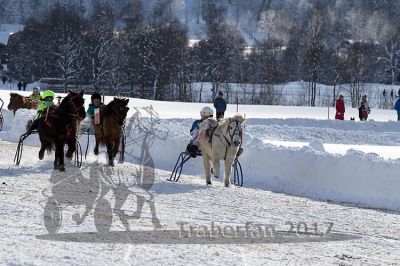 20170107_r03_051.jpg
