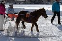Dateiname=20170107_r03_043.jpg
Dateigröße=132KB
Abmessungen: 750x500
hinzugefügt am: 07. Januar 2017 20170107_r03_043.jpg