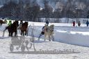 Dateiname=20170107_r03_052.jpg
Dateigröße=133KB
Abmessungen: 750x500
hinzugefügt am: 07. Januar 2017 20170107_r03_052.jpg