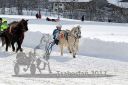Dateiname=20170107_r03_063.jpg
Dateigröße=123KB
Abmessungen: 750x500
hinzugefügt am: 07. Januar 2017 20170107_r03_063.jpg