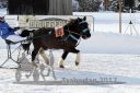 Dateiname=20170107_r03_081.jpg
Dateigröße=121KB
Abmessungen: 750x500
hinzugefügt am: 07. Januar 2017 20170107_r03_081.jpg