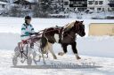 Dateiname=20170107_r03_082.jpg
Dateigröße=111KB
Abmessungen: 750x500
hinzugefügt am: 07. Januar 2017 20170107_r03_082.jpg