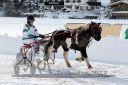 Dateiname=20170107_r03_084.jpg
Dateigröße=117KB
Abmessungen: 750x500
hinzugefügt am: 07. Januar 2017 20170107_r03_084.jpg
