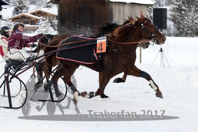 20170107_r04_079.jpg