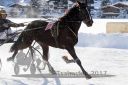 Dateiname=20170107_r04_018.jpg
Dateigröße=110KB
Abmessungen: 750x500
hinzugefügt am: 07. Januar 2017 20170107_r04_018.jpg