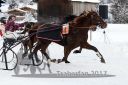 Dateiname=20170107_r04_079.jpg
Dateigröße=104KB
Abmessungen: 750x500
hinzugefügt am: 07. Januar 2017 20170107_r04_079.jpg