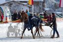 Dateiname=20170107_r04_093.jpg
Dateigröße=137KB
Abmessungen: 750x500
hinzugefügt am: 07. Januar 2017 20170107_r04_093.jpg