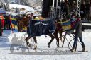 Dateiname=20170107_r04_097.jpg
Dateigröße=139KB
Abmessungen: 750x500
hinzugefügt am: 07. Januar 2017 20170107_r04_097.jpg