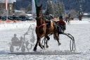 Dateiname=20170106_r05_015.jpg
Dateigröße=153KB
Abmessungen: 750x500
hinzugefügt am: 07. Januar 2017 20170106_r05_015.jpg