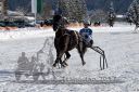Dateiname=20170106_r05_018.jpg
Dateigröße=152KB
Abmessungen: 750x500
hinzugefügt am: 07. Januar 2017 20170106_r05_018.jpg