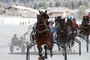 Dateiname=20170106_r06_040.jpg
Dateigröße=108KB
Abmessungen: 750x500
hinzugefügt am: 07. Januar 2017 20170106_r06_040.jpg