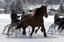 Dateiname=20170106_r07_021.jpg
Dateigröße=127KB
Abmessungen: 750x500
hinzugefügt am: 07. Januar 2017 20170106_r07_021.jpg