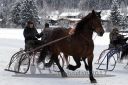 Dateiname=20170106_r07_022.jpg
Dateigröße=131KB
Abmessungen: 750x500
hinzugefügt am: 07. Januar 2017 20170106_r07_022.jpg