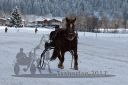 Dateiname=20170106_r07_023.jpg
Dateigröße=105KB
Abmessungen: 750x500
hinzugefügt am: 07. Januar 2017 20170106_r07_023.jpg