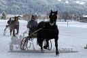 Dateiname=20170106_r07_029.jpg
Dateigröße=116KB
Abmessungen: 750x500
hinzugefügt am: 07. Januar 2017 20170106_r07_029.jpg