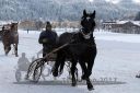 Dateiname=20170106_r07_030.jpg
Dateigröße=115KB
Abmessungen: 750x500
hinzugefügt am: 07. Januar 2017 20170106_r07_030.jpg