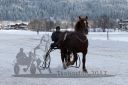 Dateiname=20170106_r07_032.jpg
Dateigröße=115KB
Abmessungen: 750x500
hinzugefügt am: 07. Januar 2017 20170106_r07_032.jpg
