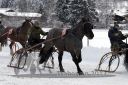 Dateiname=20170106_r07_046.jpg
Dateigröße=125KB
Abmessungen: 750x500
hinzugefügt am: 07. Januar 2017 20170106_r07_046.jpg