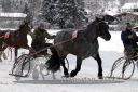 Dateiname=20170106_r07_047.jpg
Dateigröße=118KB
Abmessungen: 750x500
hinzugefügt am: 07. Januar 2017 20170106_r07_047.jpg