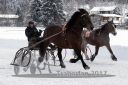 Dateiname=20170106_r07_048.jpg
Dateigröße=119KB
Abmessungen: 750x500
hinzugefügt am: 07. Januar 2017 20170106_r07_048.jpg