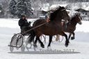 Dateiname=20170106_r07_049.jpg
Dateigröße=115KB
Abmessungen: 750x500
hinzugefügt am: 07. Januar 2017 20170106_r07_049.jpg