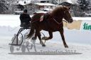 Dateiname=20170106_r07_055.jpg
Dateigröße=107KB
Abmessungen: 750x500
hinzugefügt am: 07. Januar 2017 20170106_r07_055.jpg