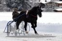 Dateiname=20170106_r07_056.jpg
Dateigröße=92KB
Abmessungen: 750x500
hinzugefügt am: 07. Januar 2017 20170106_r07_056.jpg