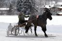 Dateiname=20170106_r07_059.jpg
Dateigröße=113KB
Abmessungen: 750x500
hinzugefügt am: 07. Januar 2017 20170106_r07_059.jpg