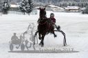 Dateiname=20170106_r08_060.jpg
Dateigröße=111KB
Abmessungen: 750x500
hinzugefügt am: 07. Januar 2017 20170106_r08_060.jpg