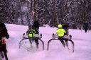 Dateiname=20170106_ja_fb02_005.jpg
Dateigröße=130KB
Abmessungen: 750x500
hinzugefügt am: 07. Januar 2017 20170106_ja_fb02_005.jpg