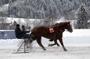 Dateiname=20170106_ja_fb03_040.jpg
Dateigröße=138KB
Abmessungen: 750x500
hinzugefügt am: 07. Januar 2017 20170106_ja_fb03_040.jpg