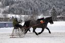 Dateiname=20170106_ja_fb03_042.jpg
Dateigröße=136KB
Abmessungen: 750x500
hinzugefügt am: 07. Januar 2017 20170106_ja_fb03_042.jpg