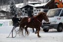 Dateiname=20170106_ja_fb03_047.jpg
Dateigröße=112KB
Abmessungen: 750x500
hinzugefügt am: 07. Januar 2017 20170106_ja_fb03_047.jpg