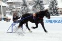 Dateiname=20170106_ja_fb03_048.jpg
Dateigröße=115KB
Abmessungen: 750x500
hinzugefügt am: 07. Januar 2017 20170106_ja_fb03_048.jpg