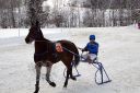 Dateiname=20170106_ja_fb03_061.jpg
Dateigröße=135KB
Abmessungen: 750x500
hinzugefügt am: 07. Januar 2017 20170106_ja_fb03_061.jpg