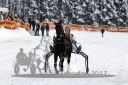 Dateiname=20170115_r01_028.jpg
Dateigröße=112KB
Abmessungen: 750x500
hinzugefügt am: 16. Januar 2017 20170115_r01_028.jpg