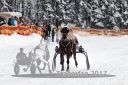 20170115_r01_070.jpg